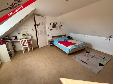 photo no. 7
