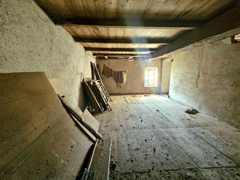 photo no. 5