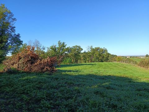 photo no. 4