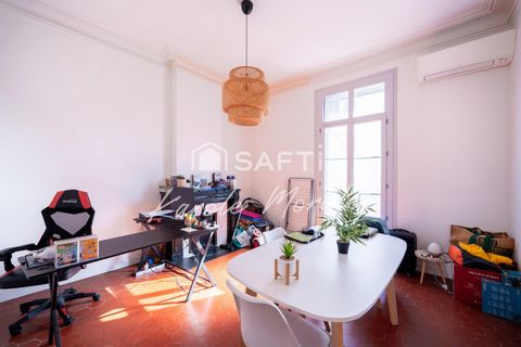 PERPIGNAN, GRAND APPARTEMENT RENOVE, T2 , PROCHE JOFFRE, CENTRE VILLE