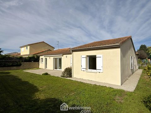 photo no. 16