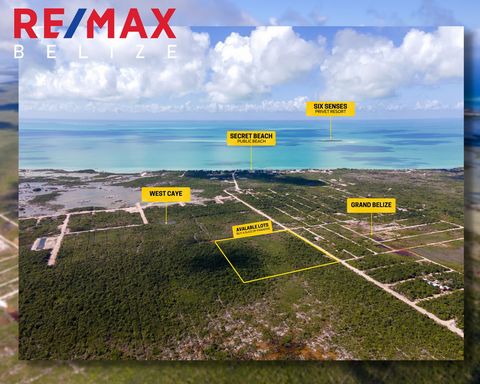 Envisagez-vous d’ouvrir une entreprise ou de sécuriser un immeuble de placement au Belize? Il y a maintenant des propriétés disponibles le long de la route sud de la populaire Secret Beach sur la côte ouest d’Ambergris Caye, Belize. Secret Beach est ...