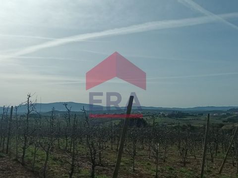 Rustic land (agricultural reserve) with 63.360m2. Close to the karting track and the municipal stadium, next to the village of Bombarral. For more information or to schedule your visit, contact us at the number: (phone hidden) Call to the national fi...