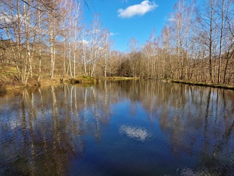 Dpt Vosges (88), à vendre proche SAINT-DIE propriete P6 + FERME authentique lorraine 1,5 ha étang Nature