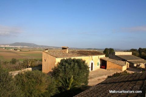 Country estate of 57 hectares with buildings located between Vilafranca de Bonany and Felanitx. Currently being used for cattle rearing and almond and fig production. Due to its size, the quality of the soil and its location, this estate has enormous...
