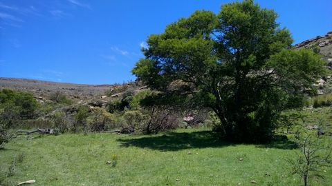 Stunning Farm With Land For Sale in Eastern Cape South Africa Esales Property ID: es5553694 Property Location N6, Queenstown Road Sterkstroom 5425 Eastern Cape South Africa Property Details With its glorious natural scenery, excellent climate, welcom...