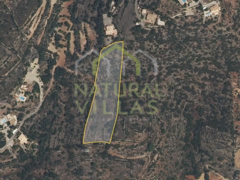 Rustic Land with beautiful Sea View in Alcaria Cova, Estoi in the Algarve. Rustic property with a total land area of 6,740m2 consisting of carob, fig and olive trees. Unpaved accesses, on dirt, with the possibility of a vehicle passing. Surroundings ...