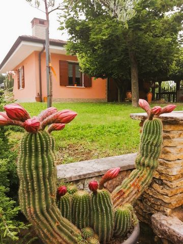 Villa in the heart of Castel d'Ario, in the province of Mantua. This magnificent property is surrounded by farmland, with an area of 33,000 square meters. The purely agricultural Villa offers a wide variety of fruit trees, including 1,000 cherry tree...