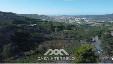 ¡Presentamos una oportunidad inmobiliaria de primera calidad a menos de 5 km de Vélez-Málaga! Este amplio terreno de 22,408m2 cuenta con impresionantes vistas al mar y está adornado con exuberantes árboles de mango que cubren aproximadamente el 50% d...