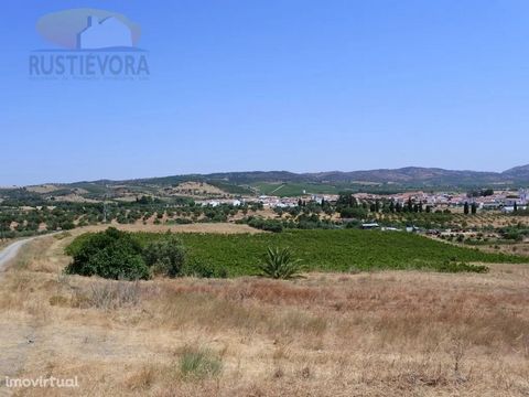 This property with 1.58 ha, in a set of 4 contiguous rustic buildings, is located in the parish of Vila de Frades, in Vidigueira, lands of vineyards and good wine. The land is a small example of the image of the region, with full exploitation of rain...