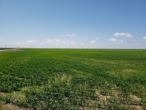 Wright's Farm and Ranch Parcel 3 is a 640 +/- acre parcel of dryland farm ground, currently 480 acres tillable and 160 acres of expired CRP. This parcel has a crop share lease for the 2023 crop season with the owner's share going to the Buyer. This p...