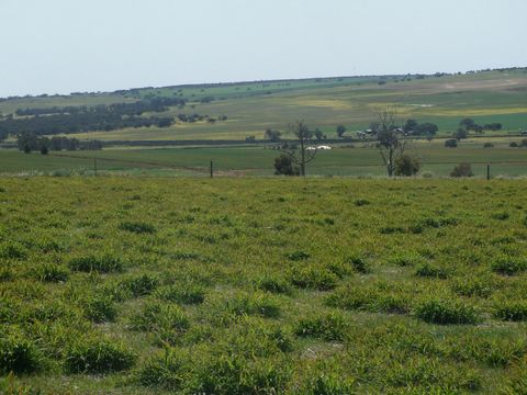 165 km ten noorden van Perth CBD (5 km ten noorden van Dandaragan) is ongeveer 40 hectare (100 ac) van Park Land gerooid Red Tuart land met uitzicht op de pittoreske Rose Valley. Deze eigenschap wordt momenteel bijgesneden en het dragen van paarden, ...