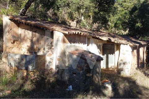 Rural Property with 10 hectares, which includes 3 rustic buildings, all of them mud houses, with areas corresponding to 65 m2 , 46 m2  and  58 m2 .   This gives a gross built area of 170 m2 . The property was not affected by the wildfires.  It bares ...