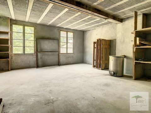 photo no. 10
