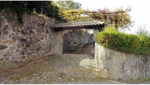 In the beautiful parish of Roriz in Sto Tirso, small farm with a total area of 3060m2 and 430 of gross construction area. Quiet place with stunning views to enjoy the silence of nature. The house consists of two large kitchens, one with 35m2 and the ...