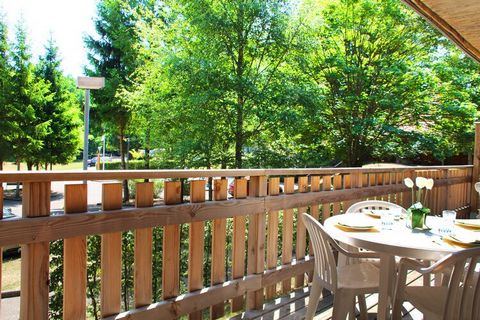 This holiday complex is located in a 3-hectare park on the banks of the Étang de Hasselfurth. The complex includes apartments on the 1st or 2nd floor (building without elevator) and wooden cottages with their own terrace. A heated indoor pool, a rest...