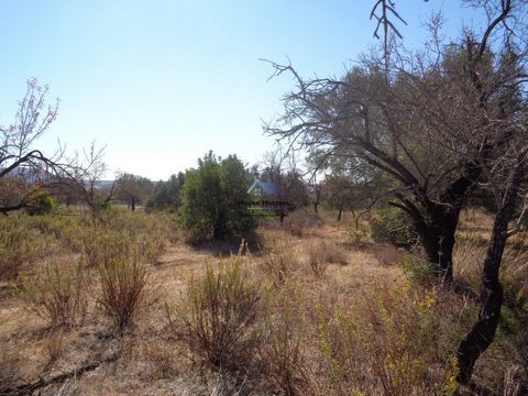 Rusticland for Sale in Piedade | San Sebastian | Loulé Land with 4980 m2 in Piedade to 12 km fruit trees. Good access of tar and dirt, has water and light next to the ground. Mark your visit now