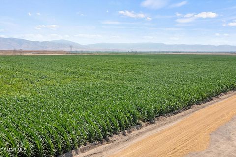 Ranch 450 offers 938.17 acres comprised of 214 acres of both Koroneiki and Arbequina Olives along with 724.17 acres of open ground currently being used for alfalfa and milo. There are 5 wells for approximately 9,318 GPM or 41- Acre/Ft per day, Booste...