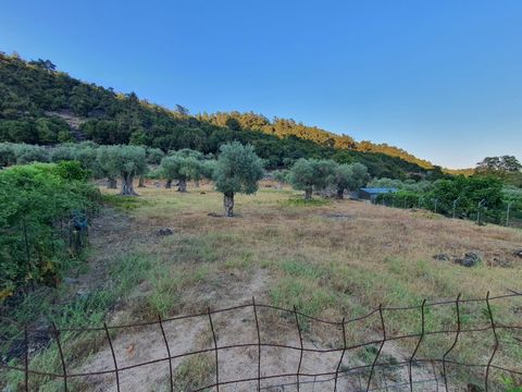 Property Code. 11437 - Agricultural FOR SALE in Thasos Panagia for €200.000 . Discover the features of this 4179 sq. m. Agricultural: Distance from sea 2000 meters, Distance from nearest village: 1000 meters, fenced, Facade length: 27 meters, depth: ...