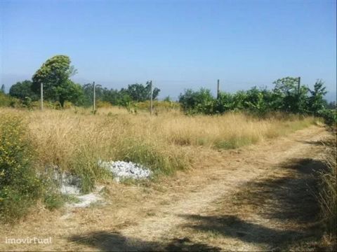 Land with area of 2.900m2; Good access; 5 min from the city Excluded from the SCE, under Article 4, of Decree-Law No. 118/2013 of 20 August.