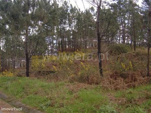 Construction site with 1,900 m2 in Celorico de Basto Construction land with an area of 1,900 m2; Well water; Good hits Buy with ERA Fafe ERA Fafe opened its doors in 2005 and built an upward path that is now recognized by the local and national marke...