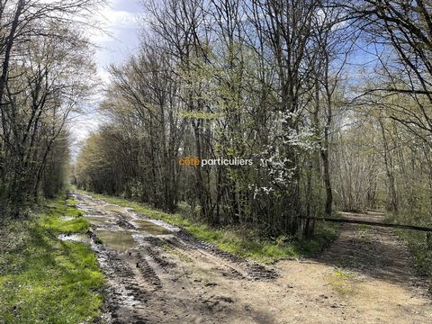Located on the sector of LIGNIERES, this plot of wood offers sessile oaks, pedunculate oaks, torminal alisier and cormier, all on 8 hectares 14 ca. A path crosses the property for the exploitation of this wood and the road runs along the plot, which ...