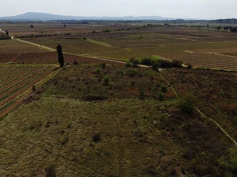 Large lot overlooking the vineyards outside subdivision Flat land not buildable close to housing. The stone of Languedoc ... Price 54500€ agency fee included