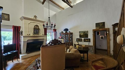 photo no. 11