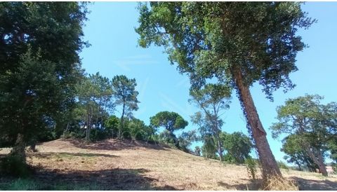 This plot of land on the Silver Coast, located in Caldas da Rainha Salir de Matos, is a unique opportunity to build the house of your dreams! Possibility of building two independent villas, both for those looking for their own residence and for those...