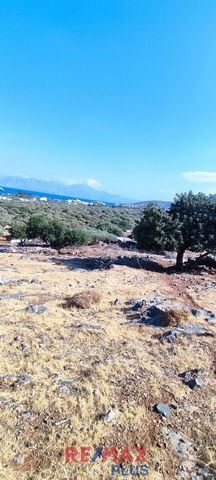 Agios Nikolaos, Kato Elounta, Agricultural Land For Sale, In Building zone, 2.200 sq.m., Frontage (m): 20, Features: For development, Fenced, For Investment, Roadside, Amphitheatrical, Sloping, For tourist use, Price: 250.000€. REMAX PLUS, Tel: ... ,...