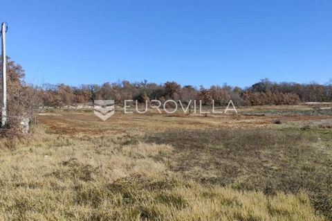 Svetvinčenat, Vidulini; building land for sale located in a small town 5 minutes' drive from Svetvinčent. Area 498 m2. Electricity and water next to the field. There is the possibility of buying agricultural land up to this, of 2 plots of 500 m2 and ...