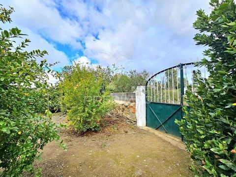 Terreno rústico localizado em Entradas, concelho de Castro Verde. A venda corresponde a 1/7 do terreno que tem um total de 0,675 hectares.  A área correspondente ao 1/7 é de 964 m2. Este terreno está totalmente vedado e murado, com portão para facili...