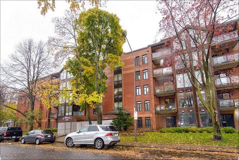 À DEUX PAS DES PLAINES ET DE L'AVENUE CARTIER! Le MONCTON! Spacieux condo 2 chambres, 1 salle de bains, 1 salle d'eau attenante à la chambre des maîtres. Planchers de bois d'ingénierie, situé au rez-de-chaussée orienté Est, vue partielle sur les plai...