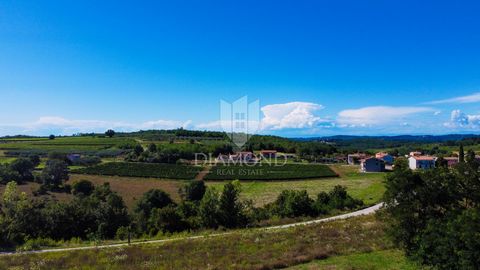 Location: Istarska županija, Poreč, Poreč. Poreč, Umgebung, Baugrundstück mit fantastischer Aussicht! Unweit der Stadt Poreč steht Baugrundstück mit fantastischem Blick auf den Weinberg zum Verkauf. Das Grundstück liegt auf einem kleinen Hügel und bi...