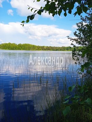 1695102 Эта квартира находится в кирпичном доме, окруженном сосновым лесом, всего в 150 метрах от большого озера Пайкъярви. Квартира полублагоустроенная, но очень теплая благодаря толстым стенам - 80 см. Она имеет свободную планировку и подготовлена ...