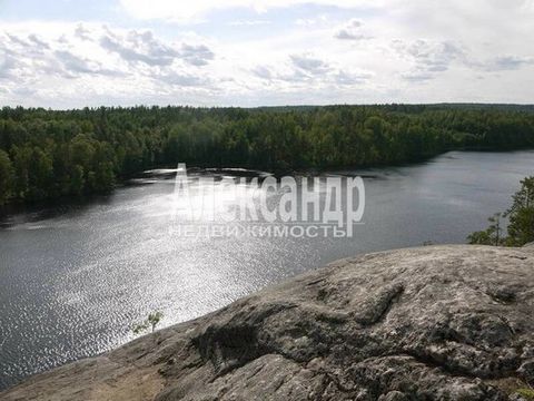 1696739 Земельный участок по адресу: Ленинградская область, Приозерский муниципальный район, Севастьяновское сельское поселение Срочная продажа!!! Срочная продажа по минимальной цене! Лучшего предложения не найти!!! ЗЕМЕЛЬНЫЙ УЧАСТОК С/Х НАЗНАЧЕНИЯ, ...