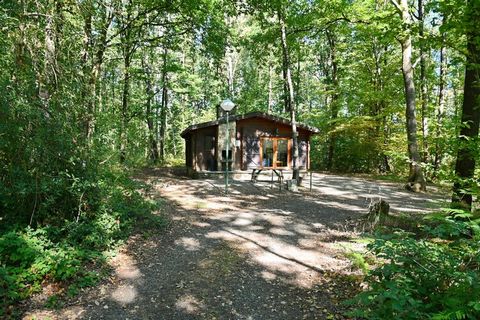 Chalet Douglas werd volledig vernieuwd in 2021. De chalet combineert een gezellig intérieur en comfort voor 4 wolwassenen en 2 kinderen. De woonkamer is voorzien van een energiebesparende warmtepomp en een houtkachel voor de gezellige wintermaanden. ...