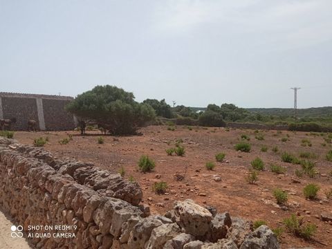 MINORQUE EST UN PARADIS À PROXIMITÉ. Terrain aménageable à vendre à Alaior, d'une superficie approximative de 24 000 m² et une construction existante d'environ 200 m² à usage de grange. Ce terrain fait partie du morcellement en cours d'élaboration du...