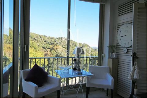 photo no. 12