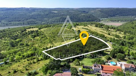 Istria, Grožnjan, Terreno con vista panoramica sulla valle del Mirna Scopri questo straordinario terreno situato vicino a Grožnjan, arroccato su una collina con una vista mozzafiato sulla valle del fiume Mirna. Con una superficie di circa 5.400 m², i...