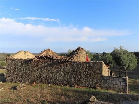 Spectacular farm with a total area of 12,750 m2. It consists of an Urban construction in granite stone with an area of 83 m2, that needs reconstruction to make a great living house . It has two wells with springs , both with a lot of water. Several t...