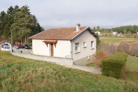 photo no. 2