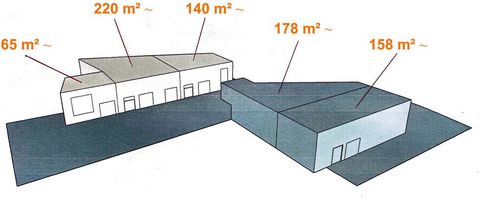 photo no. 1