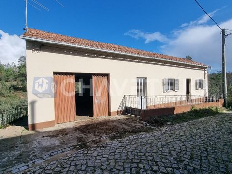 Deze woning met 3 slaapkamers is in bewoonbare staat en er moeten enkele decoratieve werkzaamheden worden uitgevoerd om de woning naar de huidige standaard te brengen. In de kelder van het pand vindt u een keuken / woonkamer, badkamer en een slaapkam...