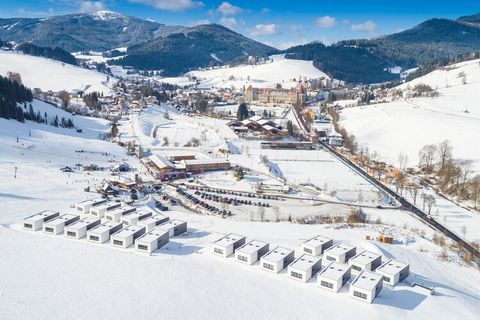 Welkom bij Nature Park Chalets St. Lambrecht, uw ultieme bestemming voor een onvergetelijke vakantie, of u nu op zoek bent naar wintersport of zomeravonturen. De moderne chalets van 130 m² bieden comfortabel plaats aan maximaal 11 gasten met drie goe...