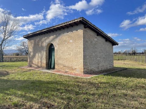 A pochi minuti dai centri di Spoleto e Campello sul Clitunno, immerso nella suggestiva pianura umbra, proponiamo in vendita un piccolo rustico singolo di circa 45 mq. Situato in una posizione privilegiata, offre una vista panoramica mozzafiato a 360°...