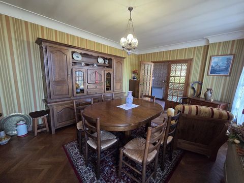 photo no. 9