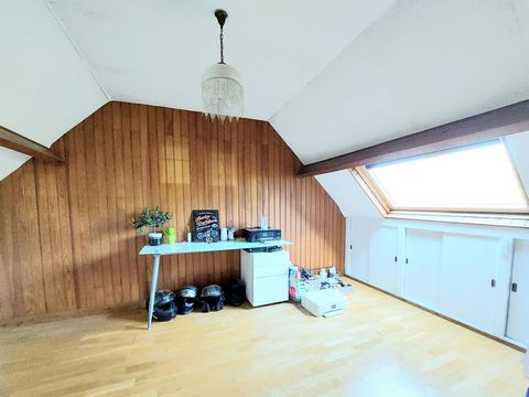 photo no. 6