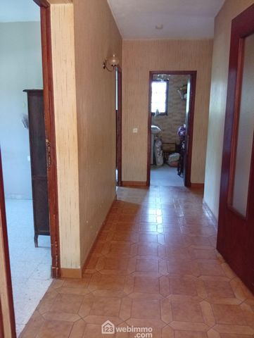 photo no. 18