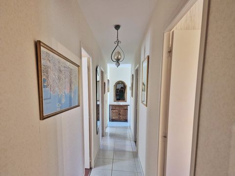 photo no. 9